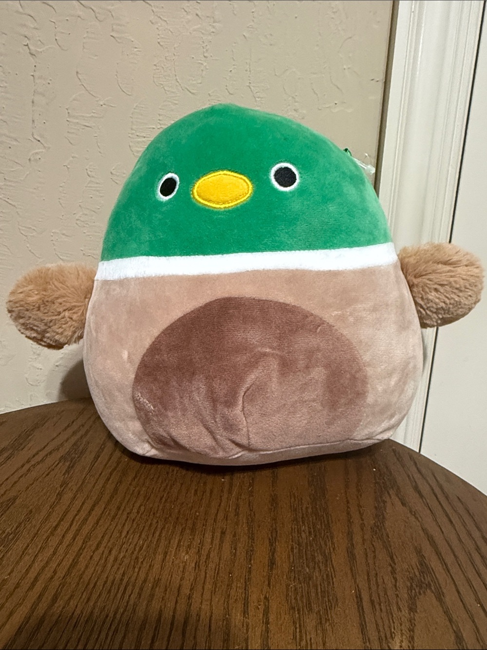 Squishmallow Avery NWOT Green and Brown Bird Stuffed Toy - Soft Small Pet Plush